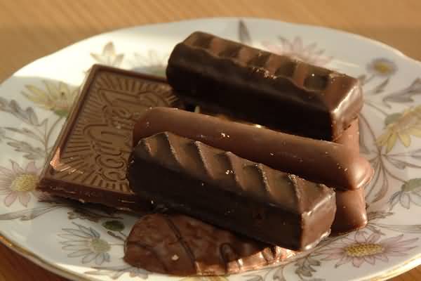 Chocolade koekjes - Honden kunnen sterven van kleine hoeveelheid chocolade.