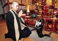 chihuahua japan met boeddhistische priester